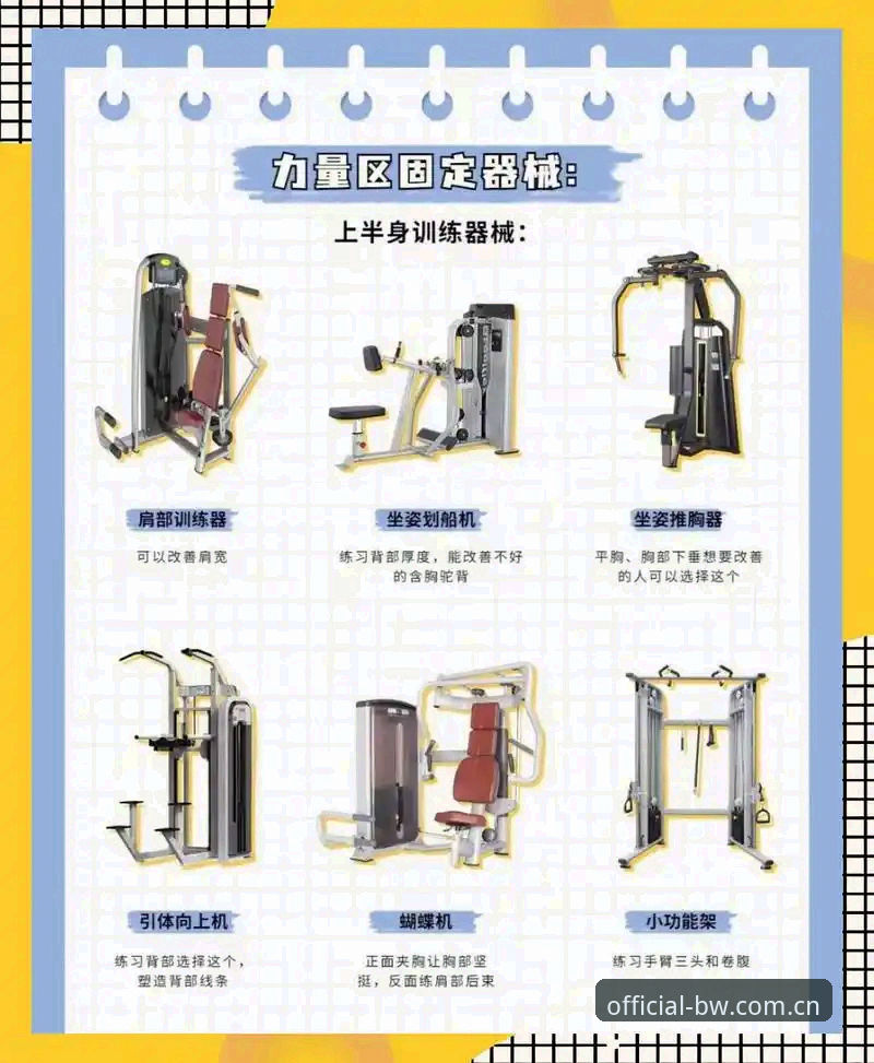 宝威体育平台实用指南：从入门到精通的操作必备知识